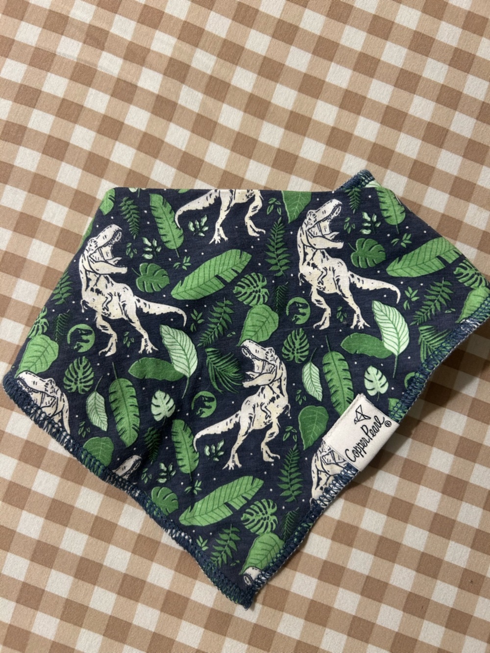 Dinosaur Print Navy and Green Bandana Bib - Copper Pearl